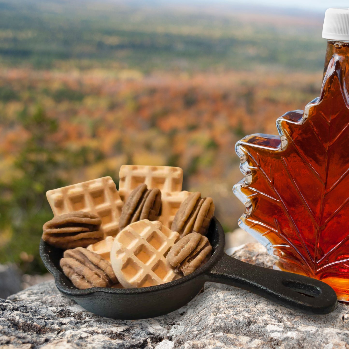 Cafe Delights Waffle Soy Wax Melt Collection