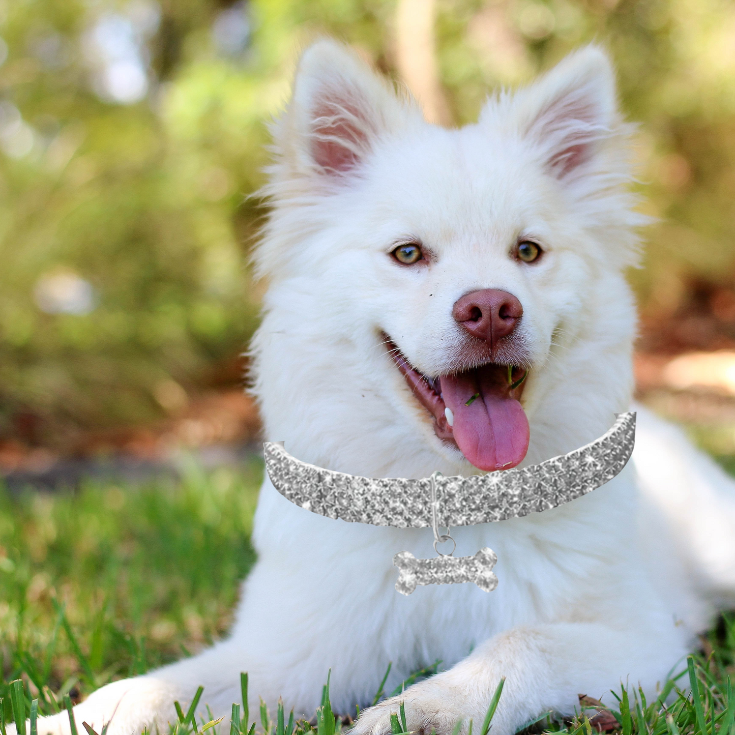 Pawseome Bling Pet Collar