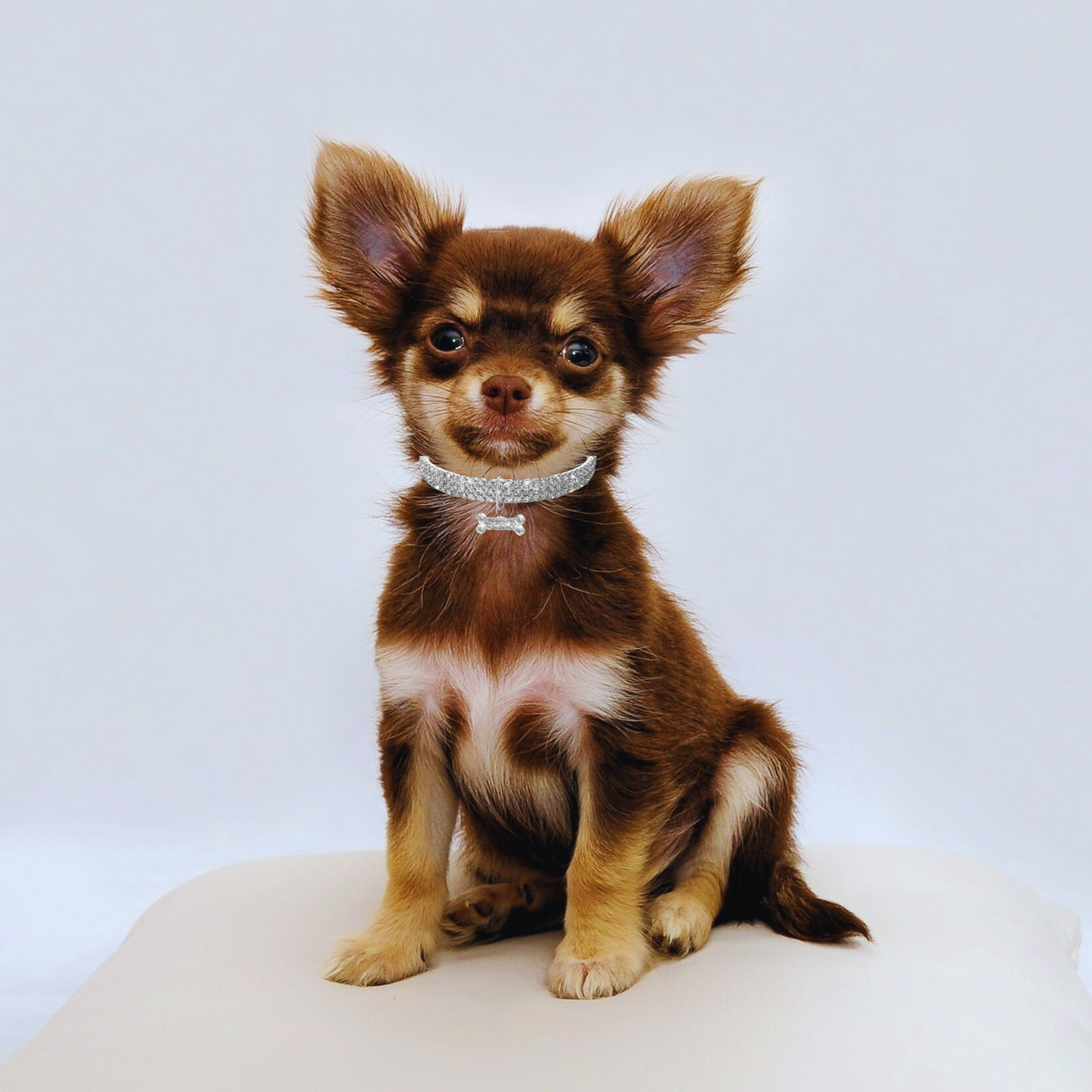 Pawseome Bling Pet Collar