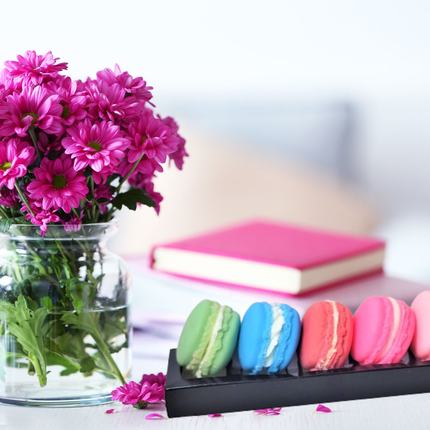 Cafe Delights Large Macaron Scented Wax Melts Gift Set