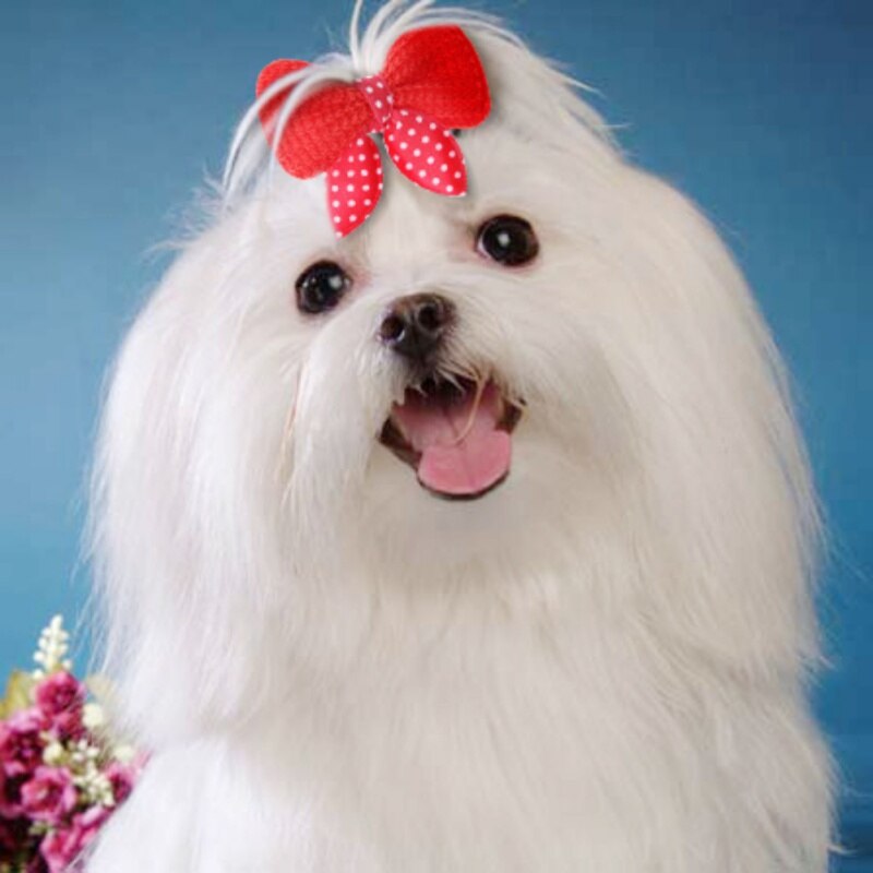 Pet Knit Hair Bling Clips