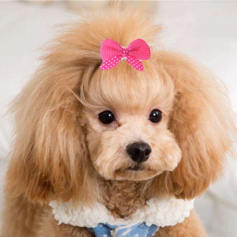 Pet Knit Hair Bling Clips