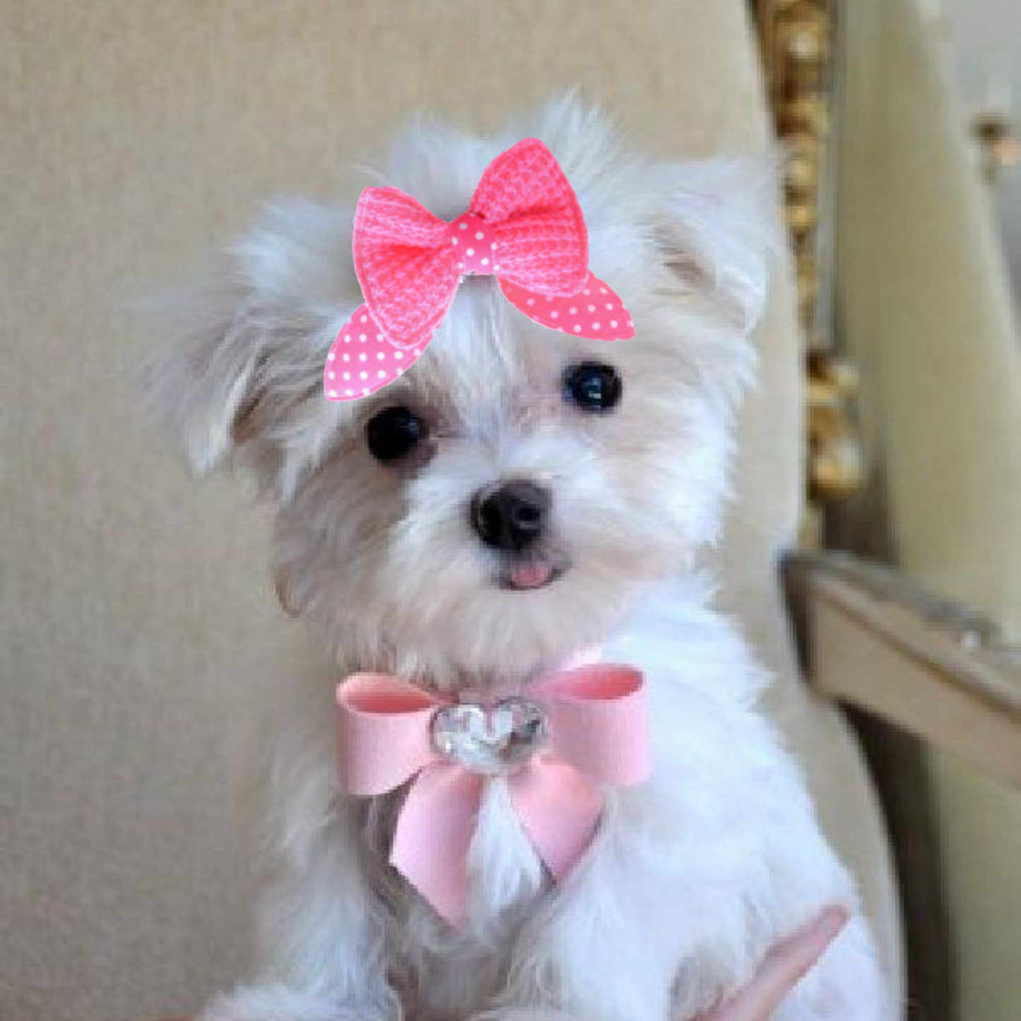 Pet Knit Hair Bling Clips