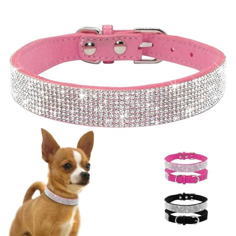 All That Bling Pet Collar