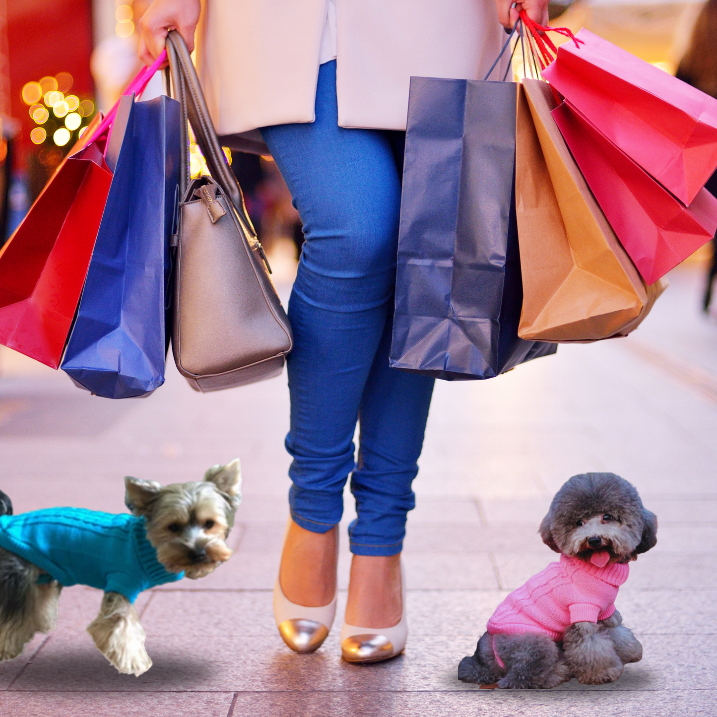 Pet Glam Fall Sweaters
